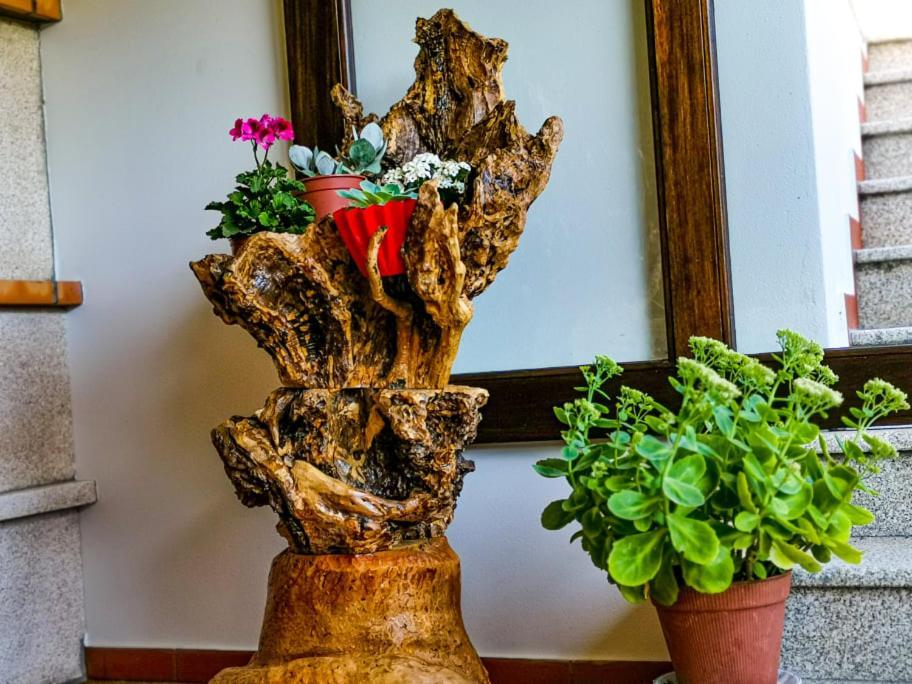 Casa Carolina ξενώνας Vila Seca  Εξωτερικό φωτογραφία